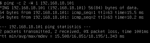 Ping du serveur DHCP depuis VM19