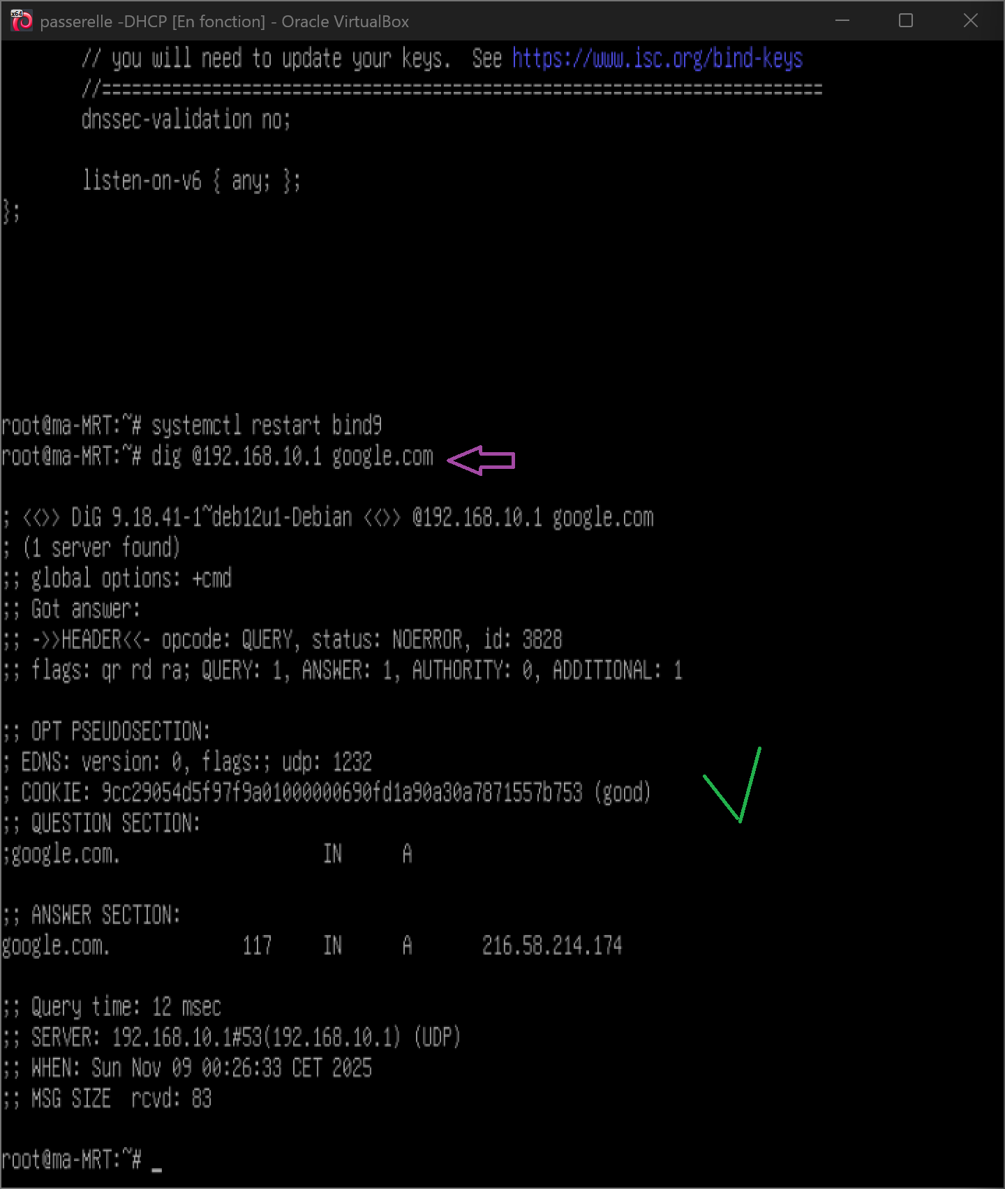Test du serveur DNS avec dig